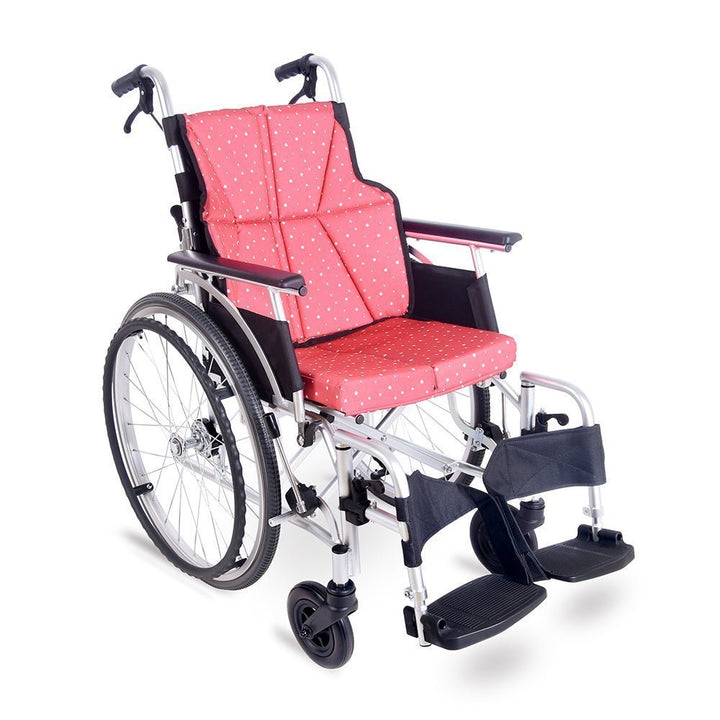 Nostra N2W 舒適型大輪輪椅 (現貨出售、11.3kg、碟剎、厚坐墊及背部護翼、可掀式扶手腳踏、 22吋大輪) | 好好醫療用品