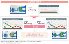 日本 Platz Rafio 電動超低護理床 (四個摩打, 床可低至15cm)